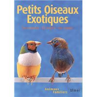 Petits oiseaux exotiques