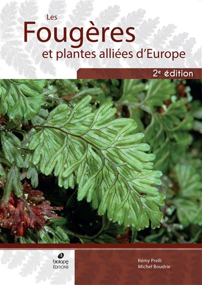 Les Fougères et plantes alliées d'Europe (2ème édition) - Rémy Prelli - broché