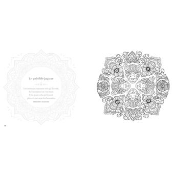 Mes mandalas Le royaume des animaux