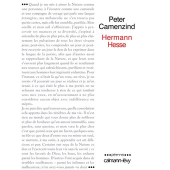 Peter Camenzind - 1
