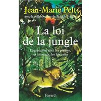 La loi de la jungle