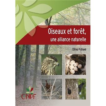 Oiseaux et forêt, une alliance naturelle - 1