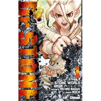 Dr. Stone