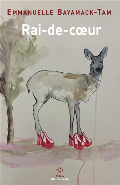 Rai-de-coeur - Emmanuelle Bayamack-Tam - Poche