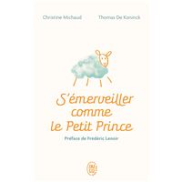 S'émerveiller comme Le Petit Prince