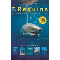 Requins et raies du monde entier