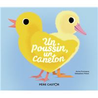 Un poussin, un caneton