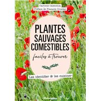 Plantes sauvages comestibles faciles à trouver