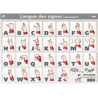 Les muscles - Collectif - Aedis - Poster - Place des Libraires