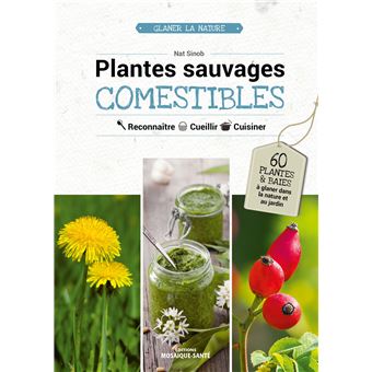 Plantes sauvages comestibles - 1
