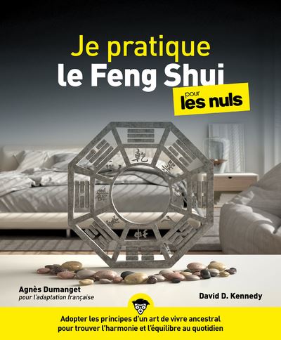 Je pratique le Feng Shui pour les Nuls - David Kennedy - First - broché - Guide