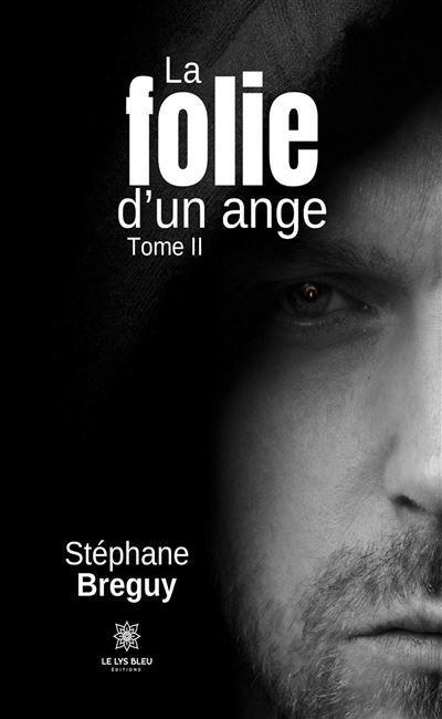 La folie d’un ange - Tome II - Stephane Breguy - broché