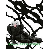 Kaws Art & Comics /anglais