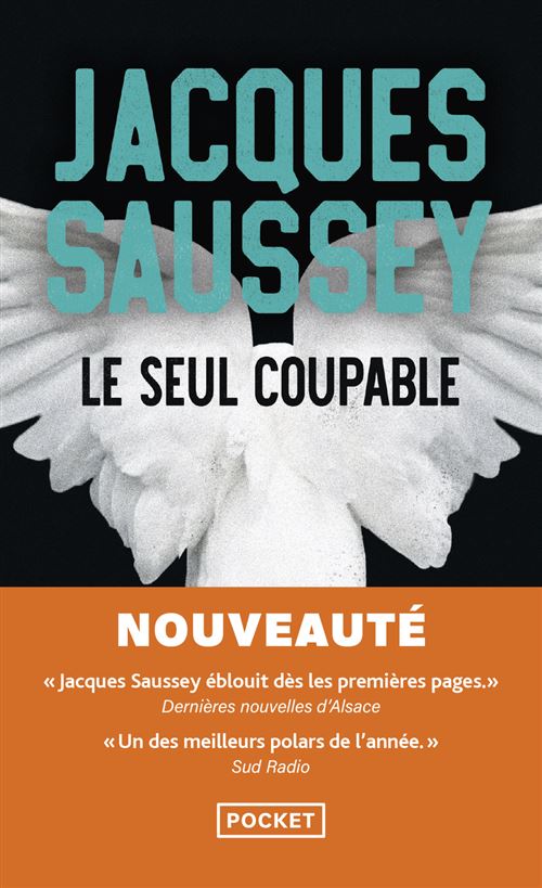 Le seul coupable - Image 2