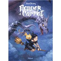 Pepper et Carrot - Tome 04