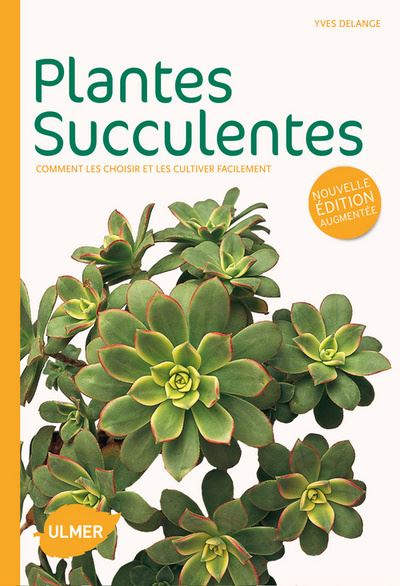 Plantes succulentes : cultivez-les sans erreurs - A Lavoura