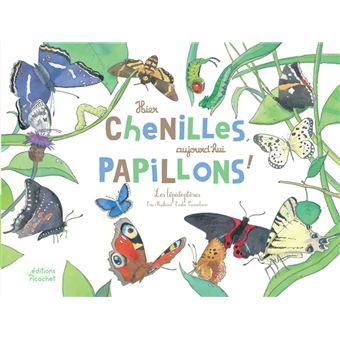 Insect Lore Jardin Aux Papillons – Kit Éducatif Avec 3 à 5 Chenilles Vivantes – Élevage De Papillons – Dès 4 Ans