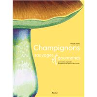 Champignons-sauvages-et-