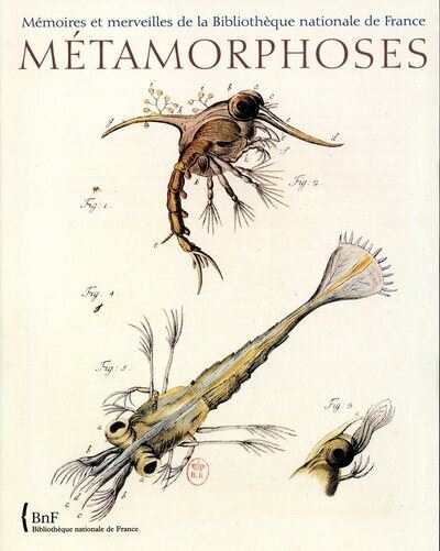 Mémoires et merveilles de la BNF. Métamorphoses