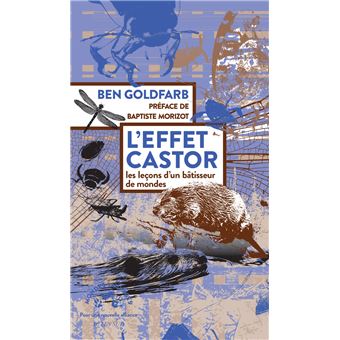 L'effet castor - 1