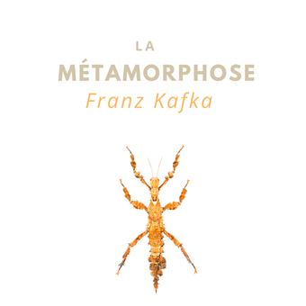 La Métamorphose - 1