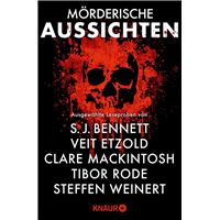 Mörderische Aussichten: Thriller & Krimi bei Droemer Knaur #14