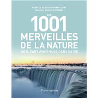 Les 1001 tableaux qu'il faut avoir vus dans sa vie Nouvelle