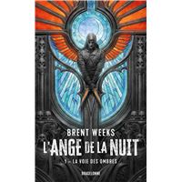 L'Ange de la Nuit, T1 : La Voie des ombres