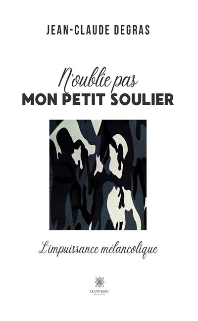 N'oublie pas mon petit soulier L'impuissance mélancolique - Jean-Claude Degras - Le Lys Bleu - broché - Témoignage