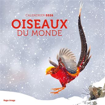 Calendrier mural Oiseaux du monde 2026 - 1