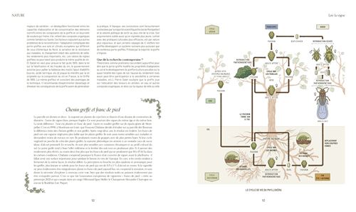 Mille vignes - relié - Pascaline Lepeltier, Livre tous les livres
