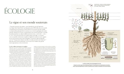 洋書 Mille Vignes - Pascaline Lepeltier Mille Vignes - Pascaline Lepeltier