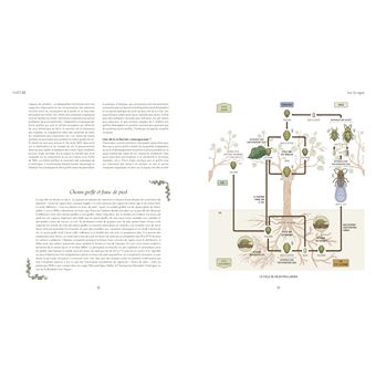 Mille vignes - relié - Pascaline Lepeltier, Livre tous les livres