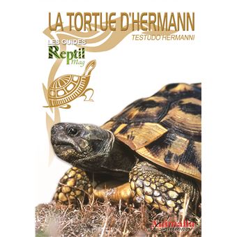 La tortue d'Hermann orientale - Testudo Hermanni Boettgeri - 1