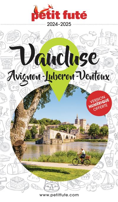 Guide Avignon - Vaucluse 2024-2025 Petit Futé - Dominique Auzias, Jean-Paul Labourdette (2024)