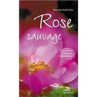 Rose plante sauvage