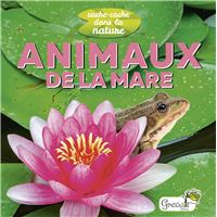 Animaux de la mare