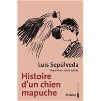 Histoire d'un chien mapuche