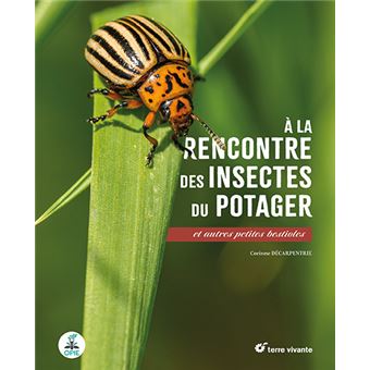 A la rencontre des insectes du potager