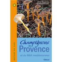 Champignons de Provence et du Midi méditerranéen