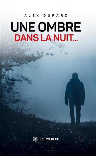 Une ombre dans la nuit… - Alex Duparc (2026)