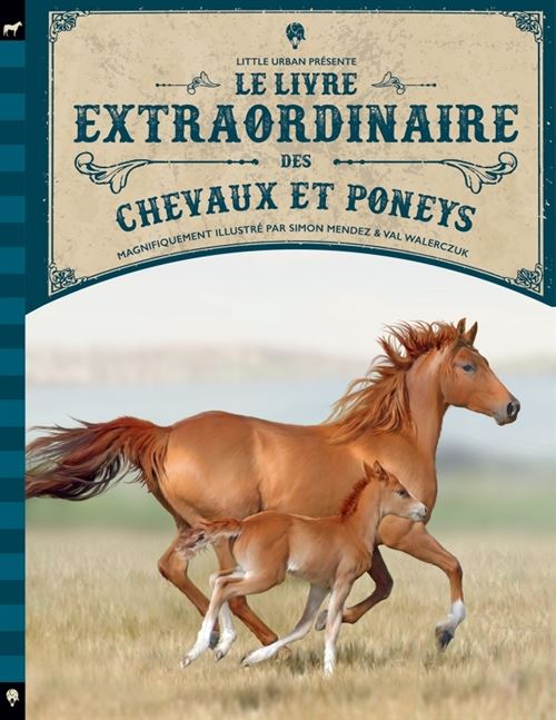 LE LIVRE EXTRAORDINAIRE DES CHEVAUX - Val Walerczuk - Gebundene Ausgabe