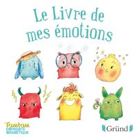 Le livre de mes émotions