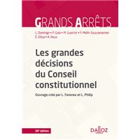 Les grandes décisions du Conseil constitutionnel