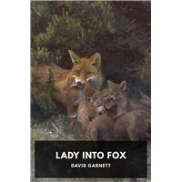 Lady Into Fox
