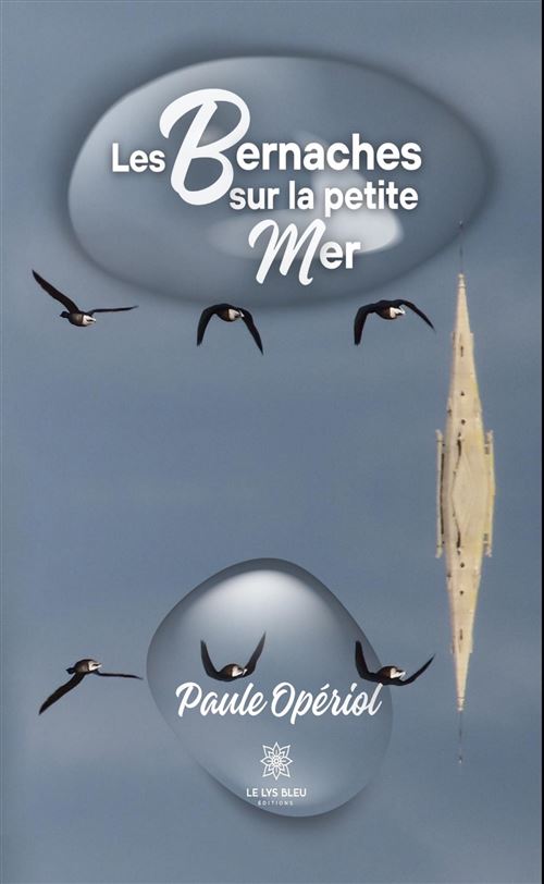Les bernaches sur la petite mer - Paule Opériol - broché