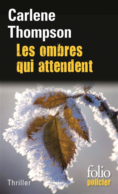Les ombres qui attendent Thriller - Carlene Thompson - Galli