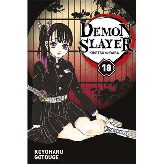 Demon Slayer - Tome 18 : Demon Slayer T18