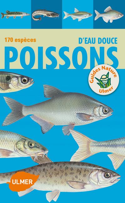 Usbek & Rica - Les poissons artificiels de Venise