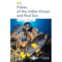 Fishes of the Indian Ocean and Red Sea